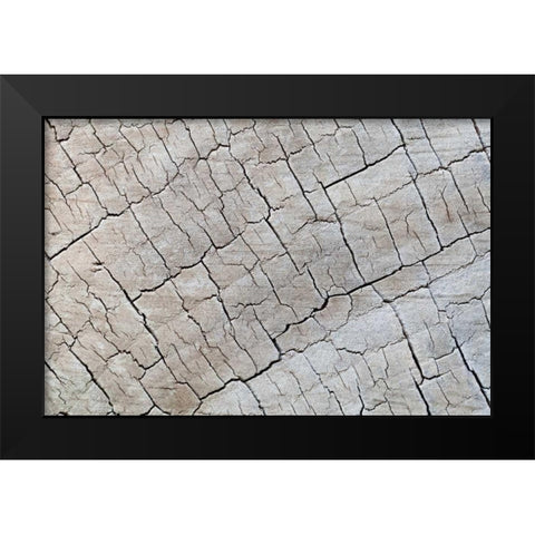 Weathered Wood I Black Modern Wood Framed Art Print by Mahan, Kathy