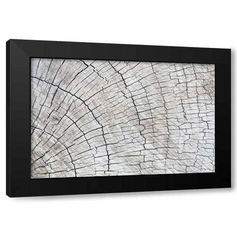 Weathered Wood II Black Modern Wood Framed Art Print with Double Matting by Mahan, Kathy