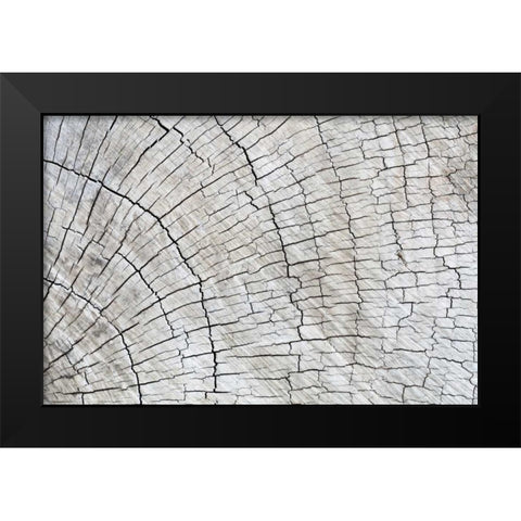 Weathered Wood II Black Modern Wood Framed Art Print by Mahan, Kathy