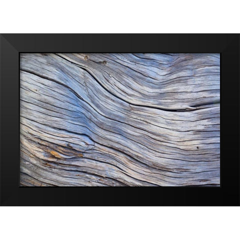 Weathered Wood III Black Modern Wood Framed Art Print by Mahan, Kathy