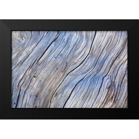 Weathered Wood IV Black Modern Wood Framed Art Print by Mahan, Kathy