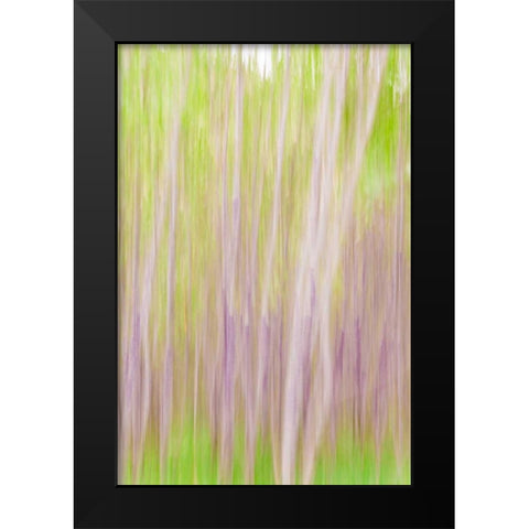 Yakima River Trail II Black Modern Wood Framed Art Print by Mahan, Kathy