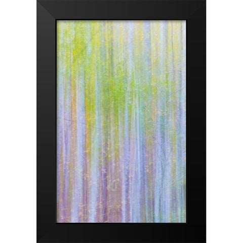Forest Blur II Black Modern Wood Framed Art Print by Mahan, Kathy