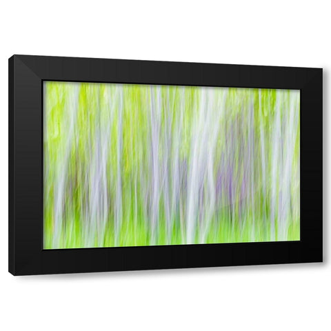 Aspen Blur I Black Modern Wood Framed Art Print with Double Matting by Mahan, Kathy