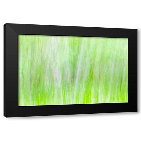 Aspen Blur II Black Modern Wood Framed Art Print with Double Matting by Mahan, Kathy