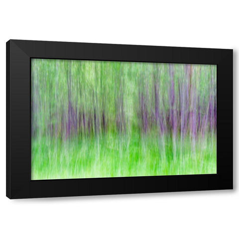 Aspen Blur IV Black Modern Wood Framed Art Print with Double Matting by Mahan, Kathy