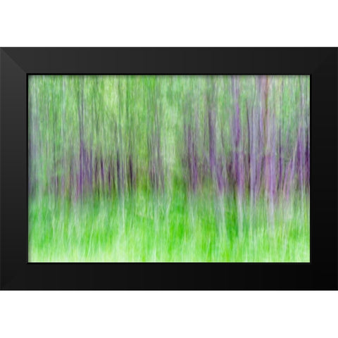 Aspen Blur IV Black Modern Wood Framed Art Print by Mahan, Kathy