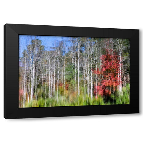 Forest Reflections I Black Modern Wood Framed Art Print by Mahan, Kathy