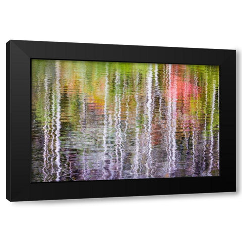 Forest Reflections II Black Modern Wood Framed Art Print with Double Matting by Mahan, Kathy