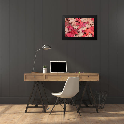 Fallen Leaves I Black Modern Wood Framed Art Print by Mahan, Kathy