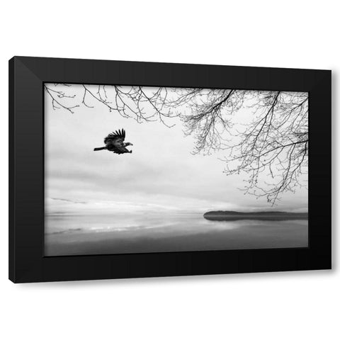 Seabeck Winter I Black Modern Wood Framed Art Print by Mahan, Kathy