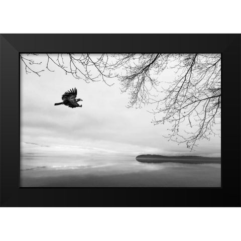 Seabeck Winter I Black Modern Wood Framed Art Print by Mahan, Kathy