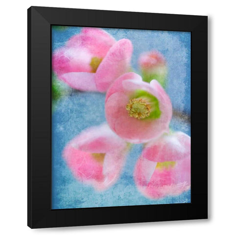 Flowering Quince II Black Modern Wood Framed Art Print with Double Matting by Mahan, Kathy