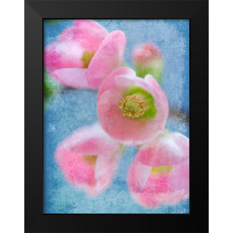 Flowering Quince II Black Modern Wood Framed Art Print by Mahan, Kathy