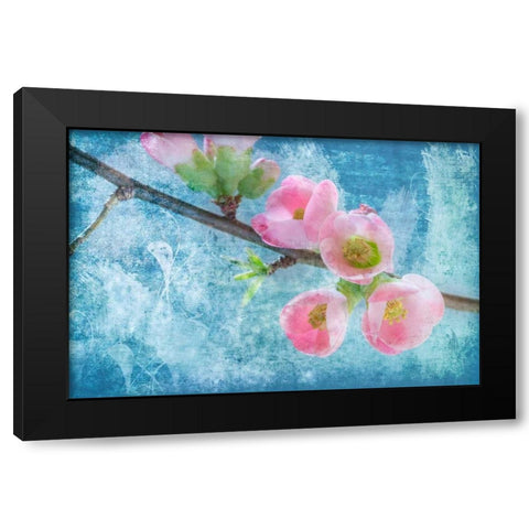 Flowering Quince III Black Modern Wood Framed Art Print by Mahan, Kathy