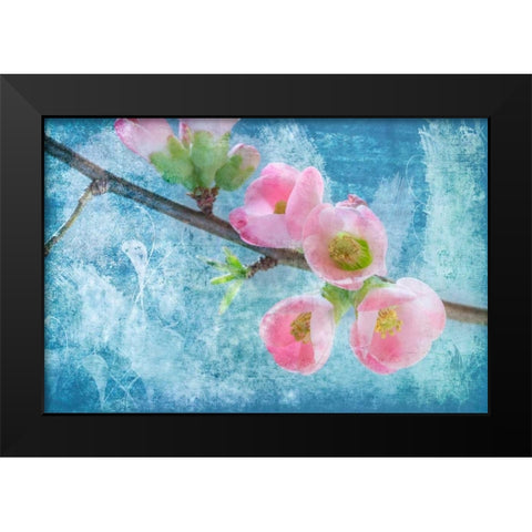 Flowering Quince III Black Modern Wood Framed Art Print by Mahan, Kathy
