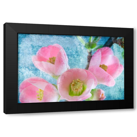 Flowering Quince IV Black Modern Wood Framed Art Print by Mahan, Kathy