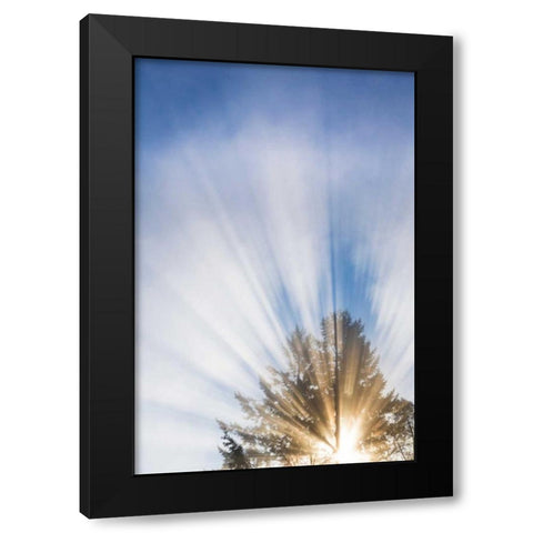 Sunburst I Black Modern Wood Framed Art Print with Double Matting by Mahan, Kathy