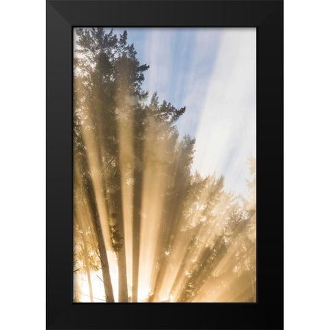 Sunburst II Black Modern Wood Framed Art Print by Mahan, Kathy