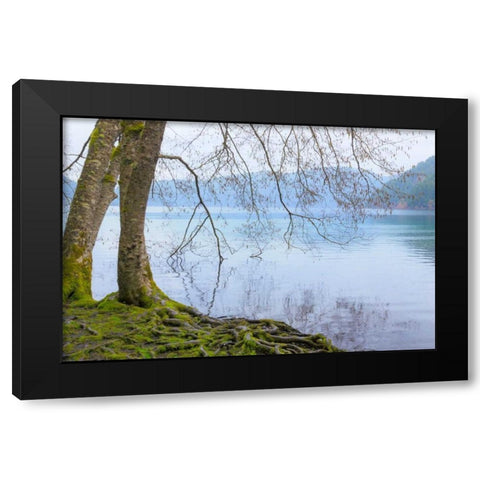 Winter Alders I Black Modern Wood Framed Art Print by Mahan, Kathy