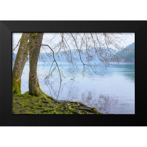 Winter Alders I Black Modern Wood Framed Art Print by Mahan, Kathy