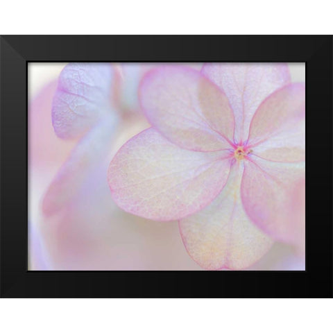 Pink Diamond IV Black Modern Wood Framed Art Print by Mahan, Kathy