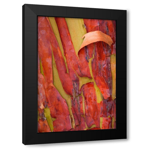 Madrona Bark I Black Modern Wood Framed Art Print by Mahan, Kathy