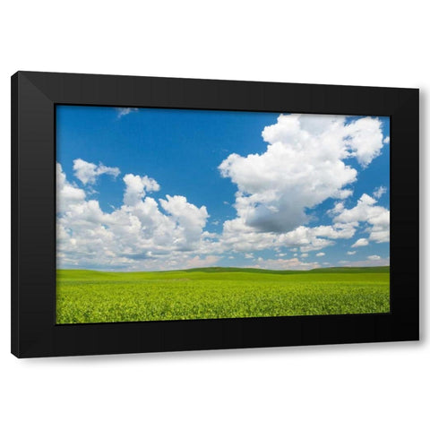 Palouse Farm II Black Modern Wood Framed Art Print with Double Matting by Mahan, Kathy