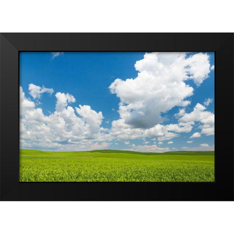 Palouse Farm II Black Modern Wood Framed Art Print by Mahan, Kathy