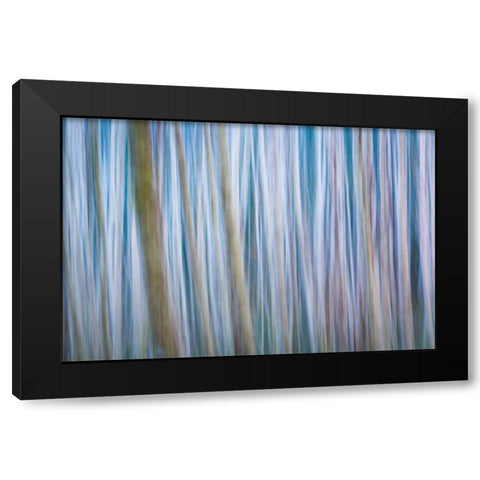Winter Forest Abstract I Black Modern Wood Framed Art Print with Double Matting by Mahan, Kathy