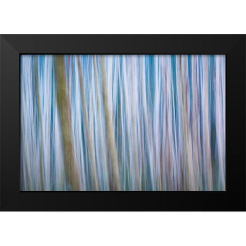 Winter Forest Abstract I Black Modern Wood Framed Art Print by Mahan, Kathy