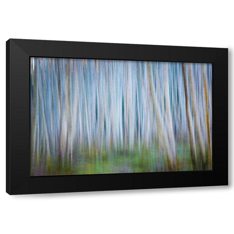 Winter Forest Abstract II Black Modern Wood Framed Art Print with Double Matting by Mahan, Kathy