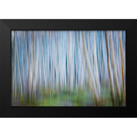 Winter Forest Abstract II Black Modern Wood Framed Art Print by Mahan, Kathy