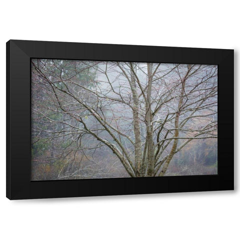Foggy Winter I Black Modern Wood Framed Art Print by Mahan, Kathy