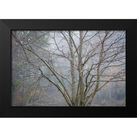 Foggy Winter I Black Modern Wood Framed Art Print by Mahan, Kathy