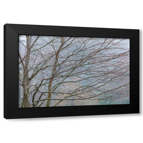 Foggy Winter II Black Modern Wood Framed Art Print with Double Matting by Mahan, Kathy