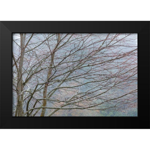 Foggy Winter II Black Modern Wood Framed Art Print by Mahan, Kathy