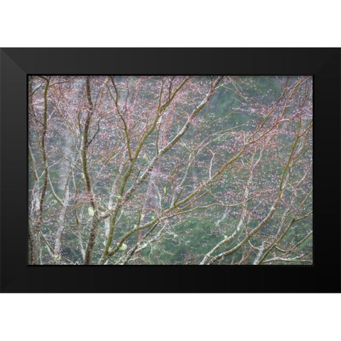 Sparkling Raindrops I Black Modern Wood Framed Art Print by Mahan, Kathy