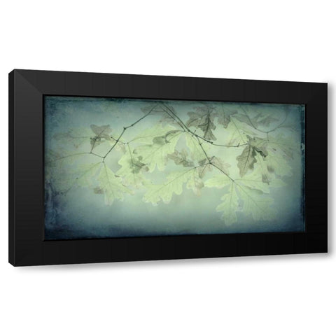 Oak Leaves Black Modern Wood Framed Art Print with Double Matting by Mahan, Kathy