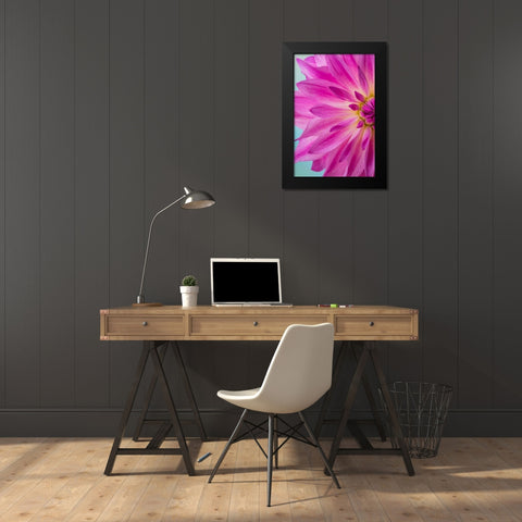 Pink Dahlia I Black Modern Wood Framed Art Print by Mahan, Kathy