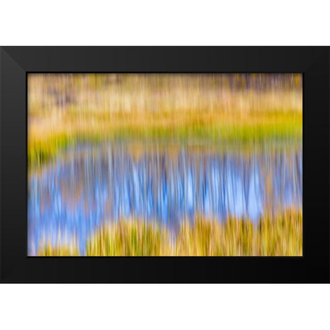 Fall Pond I Black Modern Wood Framed Art Print by Mahan, Kathy