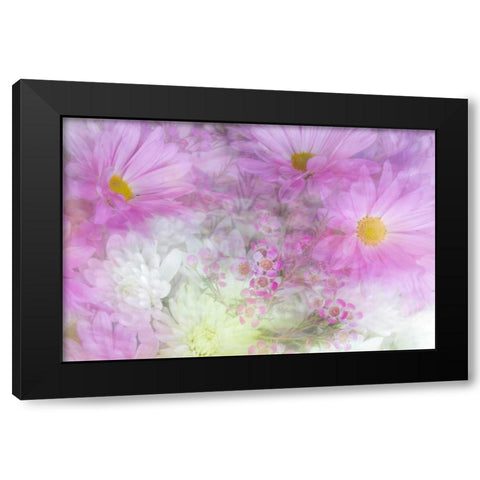 Flower Impressions II Black Modern Wood Framed Art Print by Mahan, Kathy