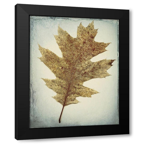 Oak Leaf Black Modern Wood Framed Art Print with Double Matting by Mahan, Kathy