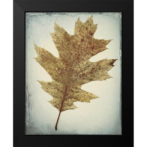 Oak Leaf Black Modern Wood Framed Art Print by Mahan, Kathy