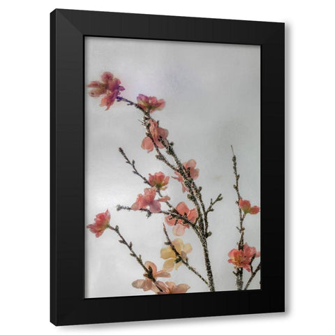 Frozen Flowers I Black Modern Wood Framed Art Print by Mahan, Kathy