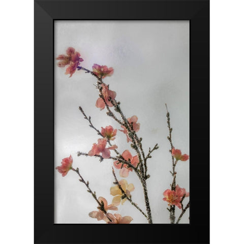 Frozen Flowers I Black Modern Wood Framed Art Print by Mahan, Kathy