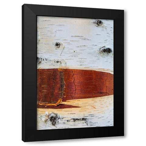Paper Birch Black Modern Wood Framed Art Print with Double Matting by Mahan, Kathy