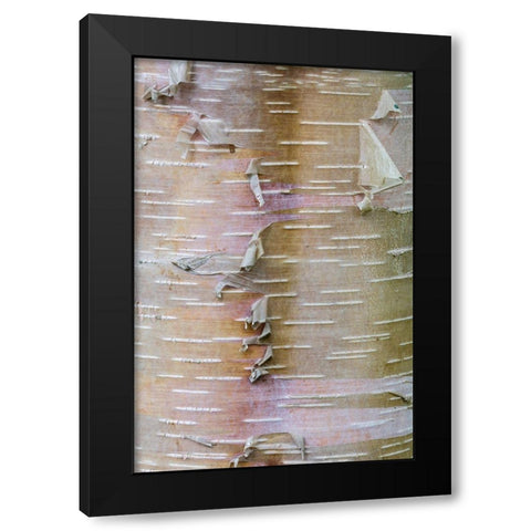 Birch Bark Black Modern Wood Framed Art Print by Mahan, Kathy