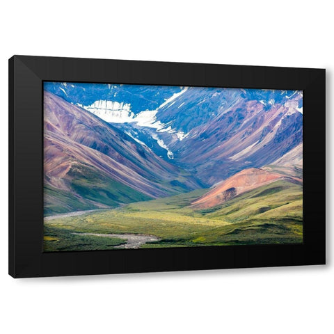 Danali National Park I Black Modern Wood Framed Art Print by Mahan, Kathy