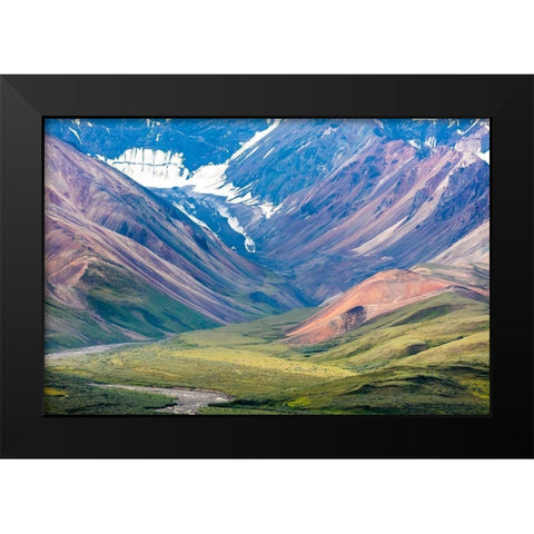 Danali National Park I Black Modern Wood Framed Art Print by Mahan, Kathy